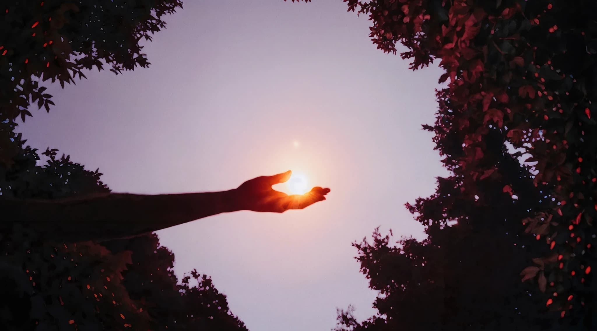 A silhouetted hand holding the warm sun, framed by dark burgundy foliage and a soft mauve sky